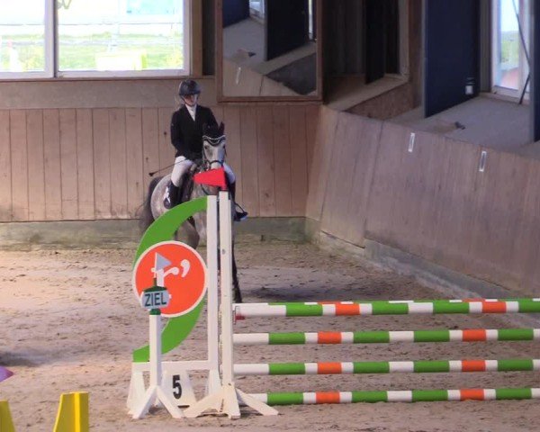 Reitturnier Niebüll 2025