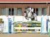 jumper Cristal 3 (Holsteiner, 2008, from Con Air)