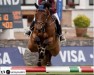 Springpferd Hidalgo (Belgisches Warmblut, 2007)