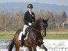 Dressurpferd Felicitas 16 (Deutsches Sportpferd, 2015, von Quotenkönig)