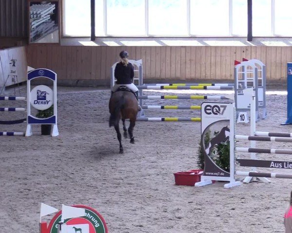 Reitturnier Niebüll 2025