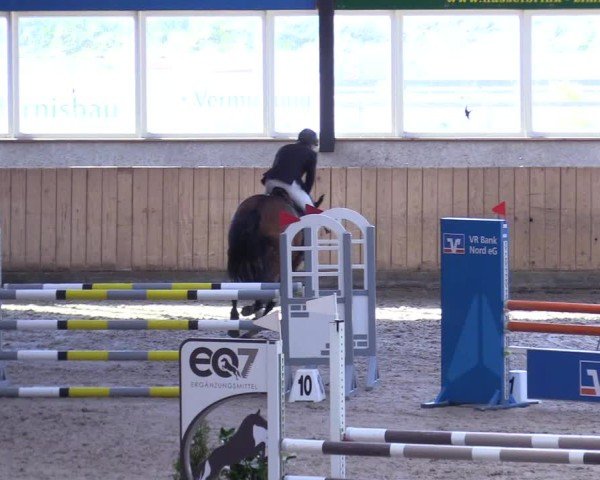 Reitturnier Niebüll 2025