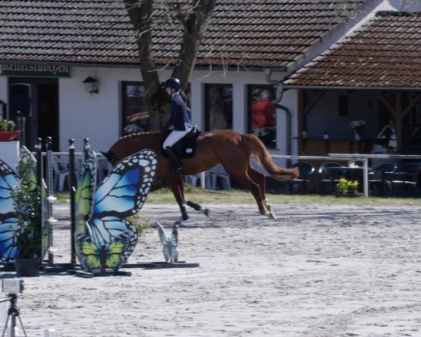 Reitturnier Richelsdorf 2025