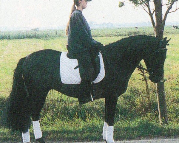 jumper Power Star 2 (German Riding Pony, 2001, from Padparadscha)