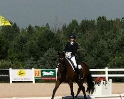 dressage horse Belcanto Ajf (Hanoverian, 2010)