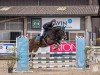 jumper Emilton de L'Abbaye (Selle Français, 2014, from Top Gun Semilly)