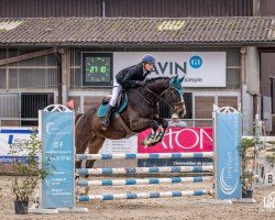 jumper Emilton de L'Abbaye (Selle Français, 2014, from Top Gun Semilly)