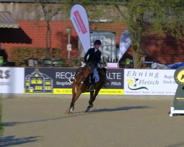 Reitturnier Borken 2025