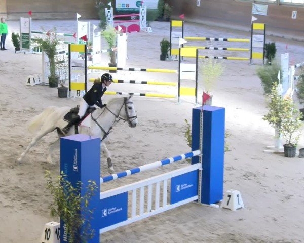 Reitturnier Rüti ZH 2025