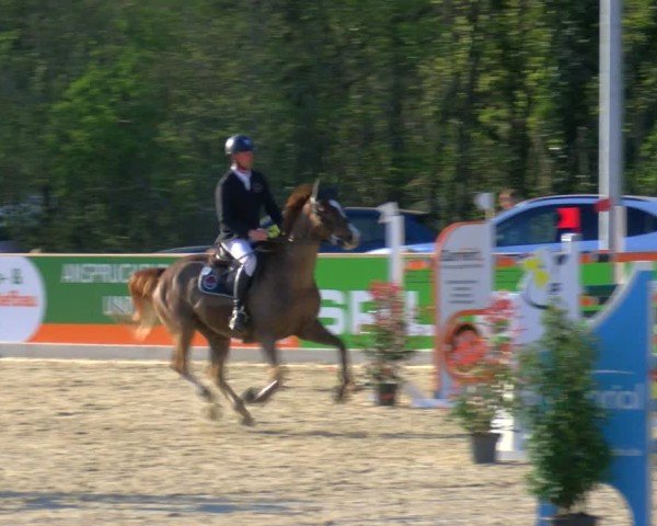 Reitturnier Borken 2025