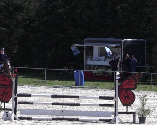 Reitturnier Pietzpuhl 2025
