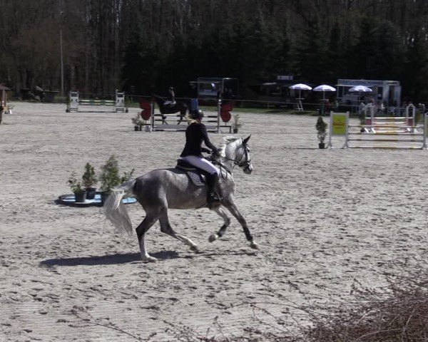 Reitturnier Pietzpuhl 2025