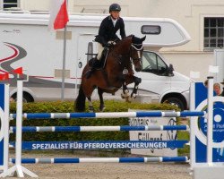 broodmare Carleen 4 (German Sport Horse, 2016, from Carleyle)