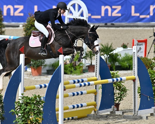 jumper High On Ecstasy (Holsteiner, 2020, from Origi D'o)