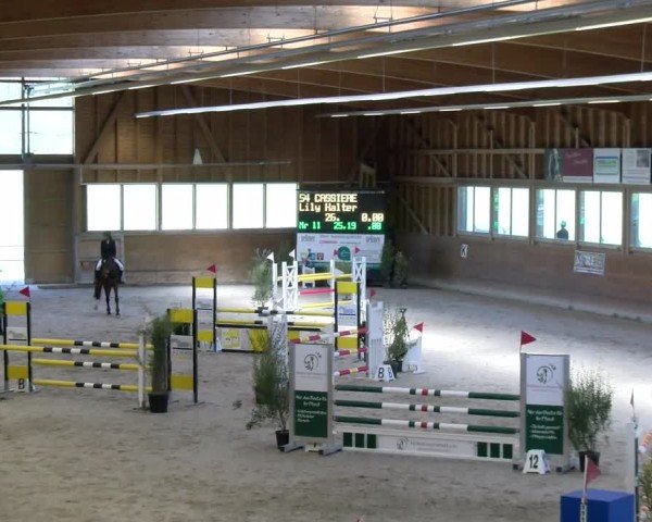 Reitturnier Rüti ZH 2025