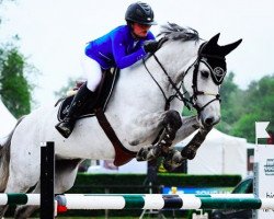 jumper Cacento (Oldenburg show jumper, 2007, from Cartogran)