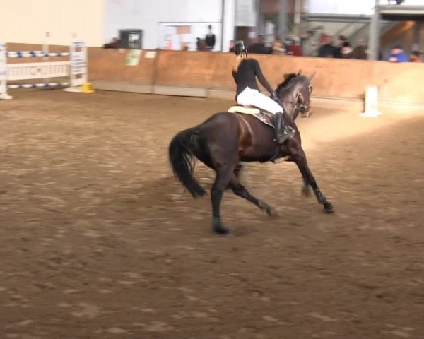 Hallenreitturnier RV Giebelwald 2013