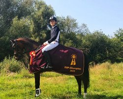 jumper PSW Pocahontas (Deutsches Reitpony, 2016, from PSW Pitu)