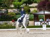 dressage horse Di Jacomo 4 (German Riding Pony, 2006, from Dein Freund)