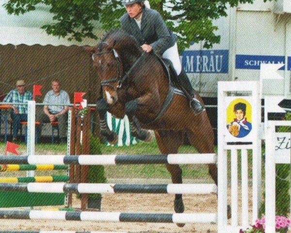 Dressurpferd Chitano S (Oldenburger, 2007, von Carousel)