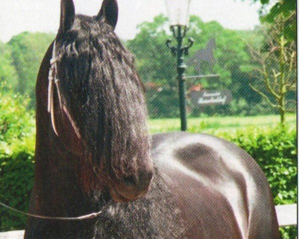 Pferd Mark (Friese, 2004, von Anton 343)