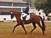 dressage horse Belle Jolie 3 (Hanoverian, 2009, from Benidetto)