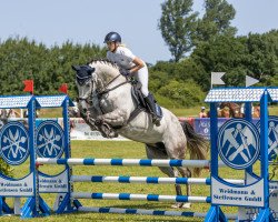 broodmare Wanskjaers Dakota (Holsteiner, 2011, from Legolas)