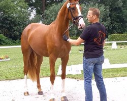 dressage horse Zarin Zackarina (Westphalian, 2018, from Zoom)