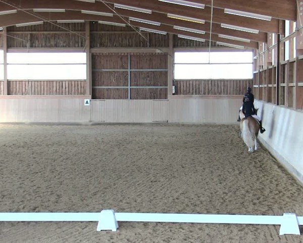 Reitturnier Marktredwitz 2025