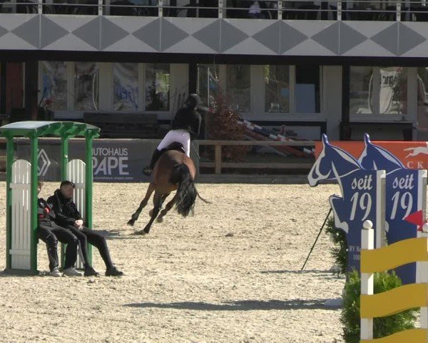 Reitturnier Balve-Wocklum 2025