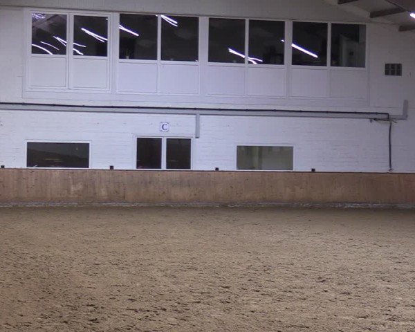 Reitturnier Olfen 2025