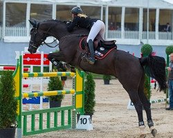 jumper Velito (KWPN (Royal Dutch Sporthorse), 2002, from Haarlem)