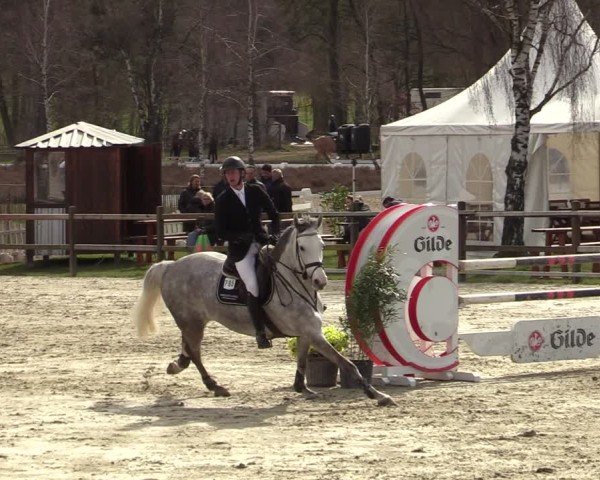 Reitturnier Westergellersen 2025