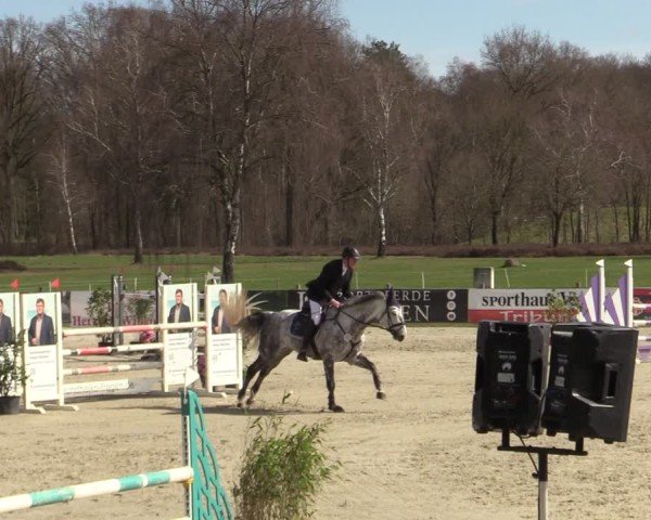 Reitturnier Westergellersen 2025