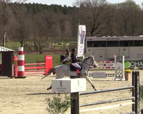 Reitturnier Westergellersen 2025