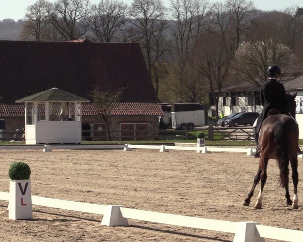 Reitturnier Balve-Wocklum 2025