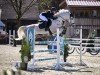 Springpferd Cornydo B. (Westfale, 2018, von Cornado NRW)