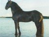 horse Onne ut'e Reiden (Friese, 1996, from Oltman 317)