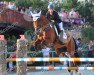 jumper Landro (Oldenburg show jumper, 2002, from Lando)