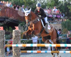 jumper Landro (Oldenburg show jumper, 2002, from Lando)