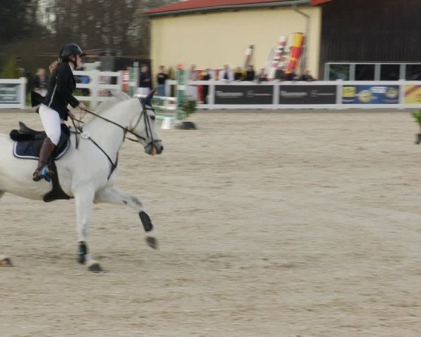 Reitturnier Memmingen 2025