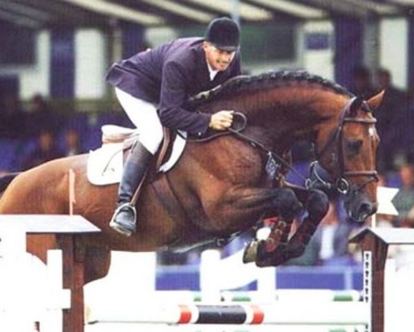 stallion Lord Lepanto (Holsteiner, 1989, from Lord)