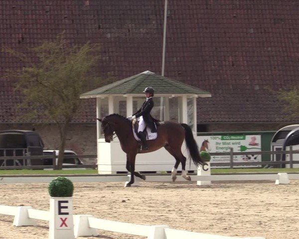 Reitturnier Balve-Wocklum 2025