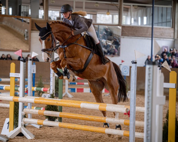 jumper Pilot Pleasure (Rhinelander, 2018, from Priano)