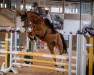 jumper Pilot Pleasure (Rhinelander, 2018, from Priano)