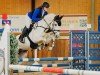 jumper Asterix Nix Alba (German Warmblood, 2020, from Alaba 2)