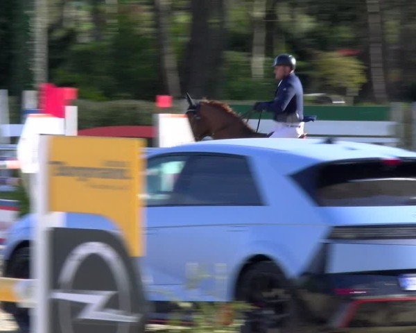 Reitturnier Bottrop 2025