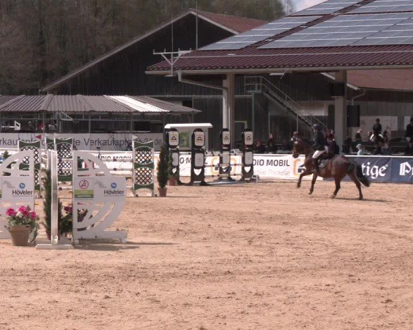 Reitturnier Ranshofen - Braunau am Inn 2025