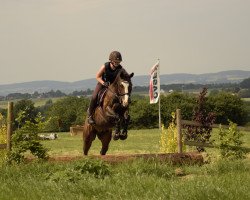 dressage horse Vau Plus (Deutsches Reitpony, 2011, from Valido's Highlight)