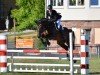 jumper Cortina 197 (Rhinelander, 2008, from Cola 10)